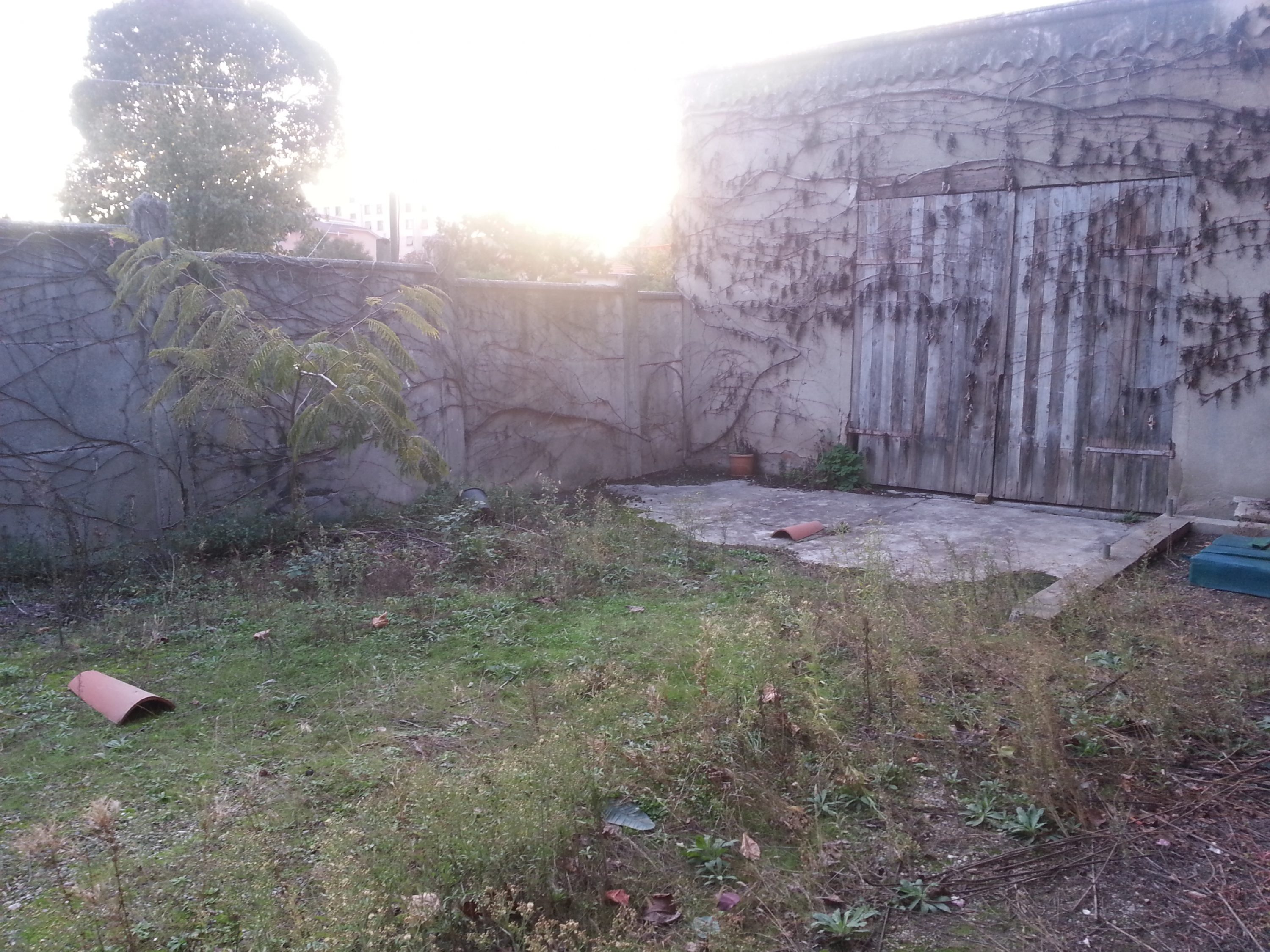 rénovation jardin